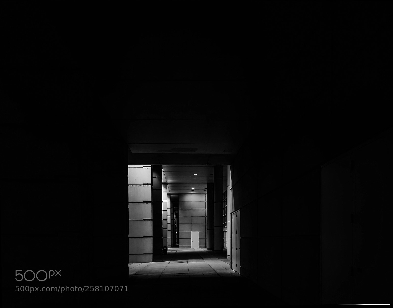 Nikon D610 sample photo. Night light photography