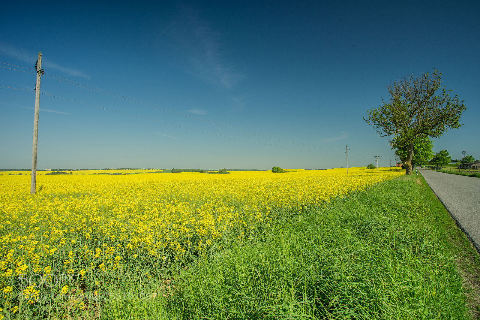 Sony a7 II sample photo. Rapsfeld photography