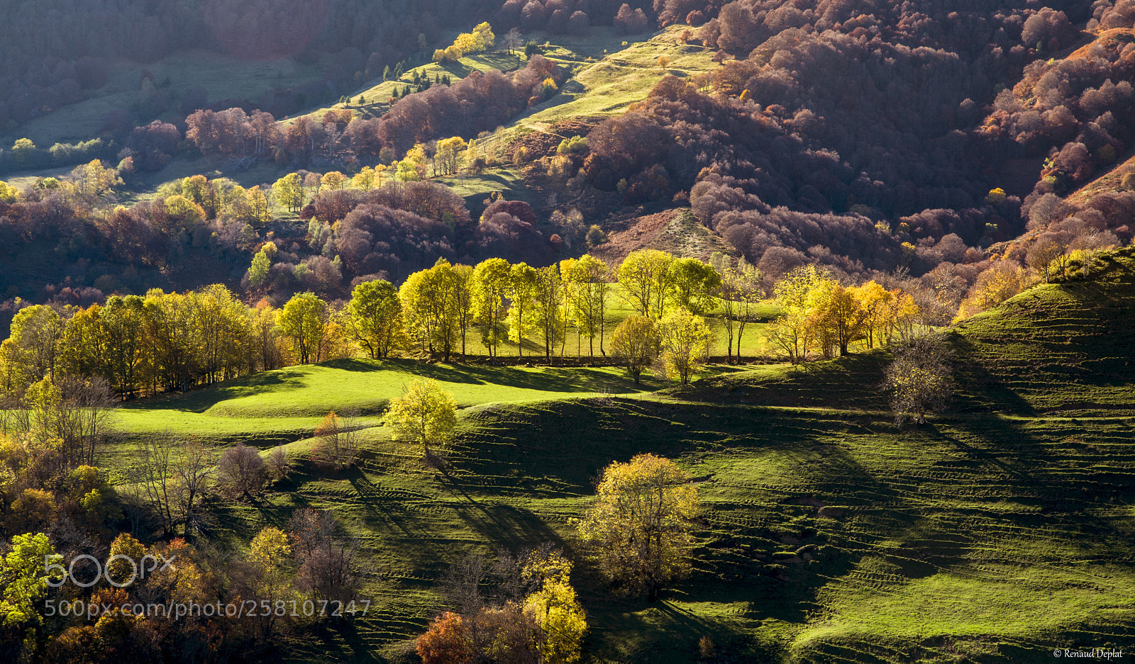 Nikon D7100 sample photo. Paysage... photography