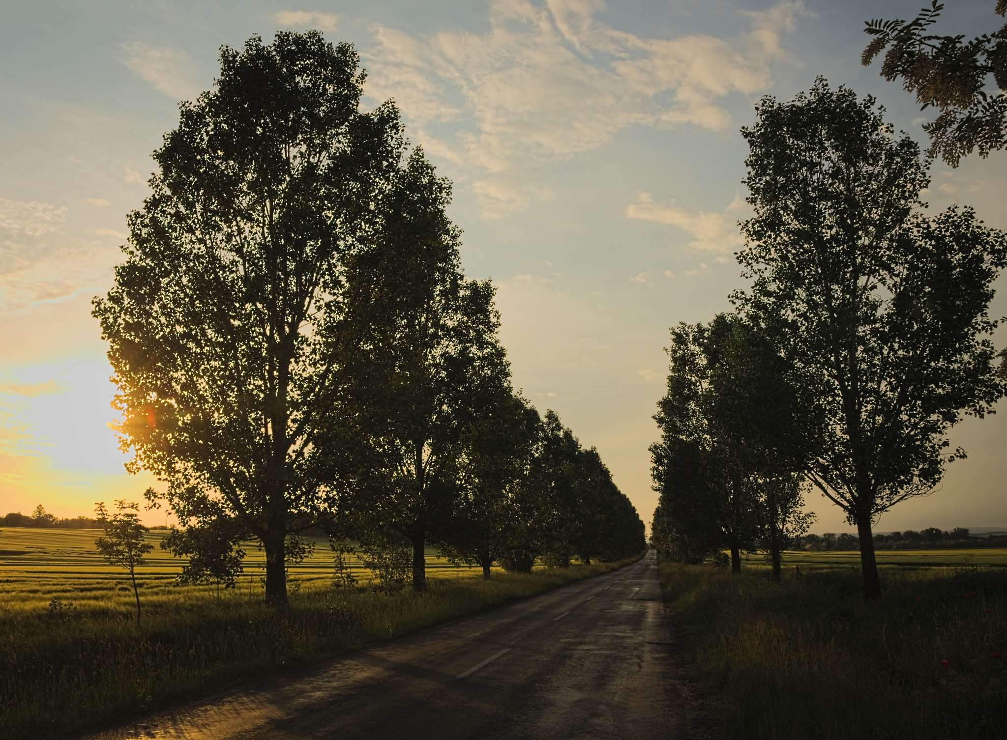 Sigma 17-70mm F2.8-4 DC Macro OS HSM sample photo. Summer roads photography