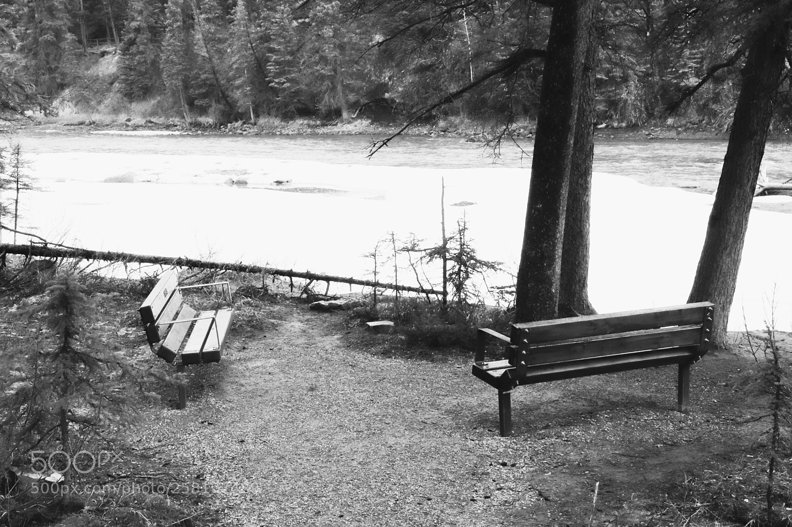 Canon EOS 800D (EOS Rebel T7i / EOS Kiss X9i) sample photo. Bench by the river photography