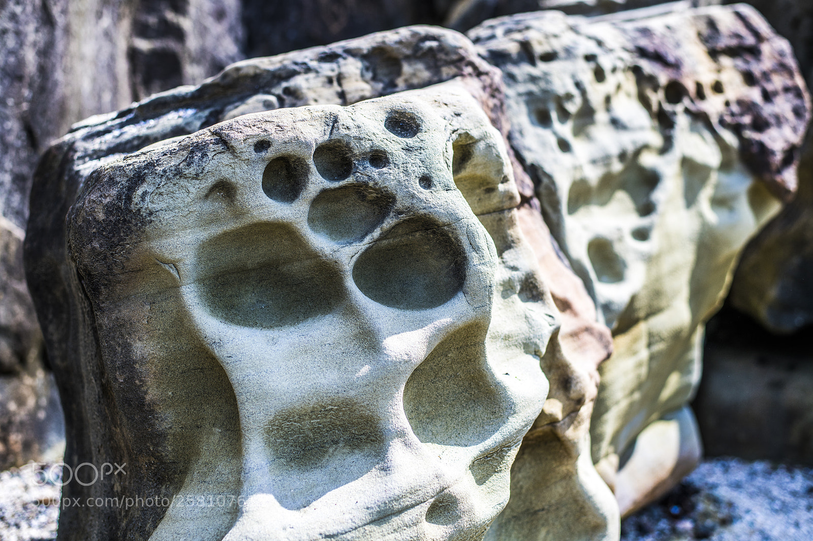 Nikon D850 sample photo. Carved by nature photography