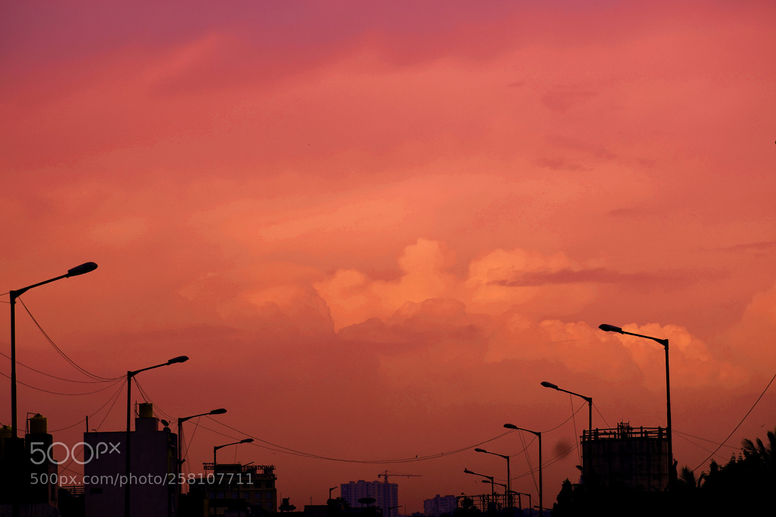Nikon D5300 sample photo. Painted sky photography