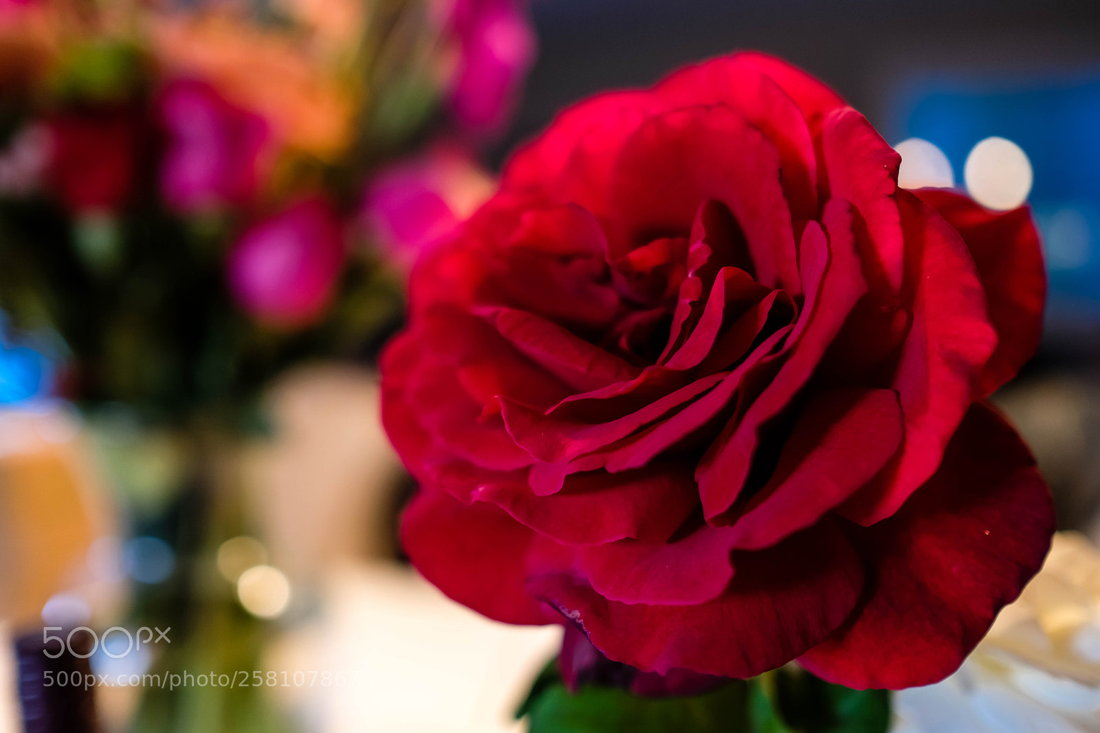 Fujifilm X-T20 sample photo. Dscf3684-1.jpg photography