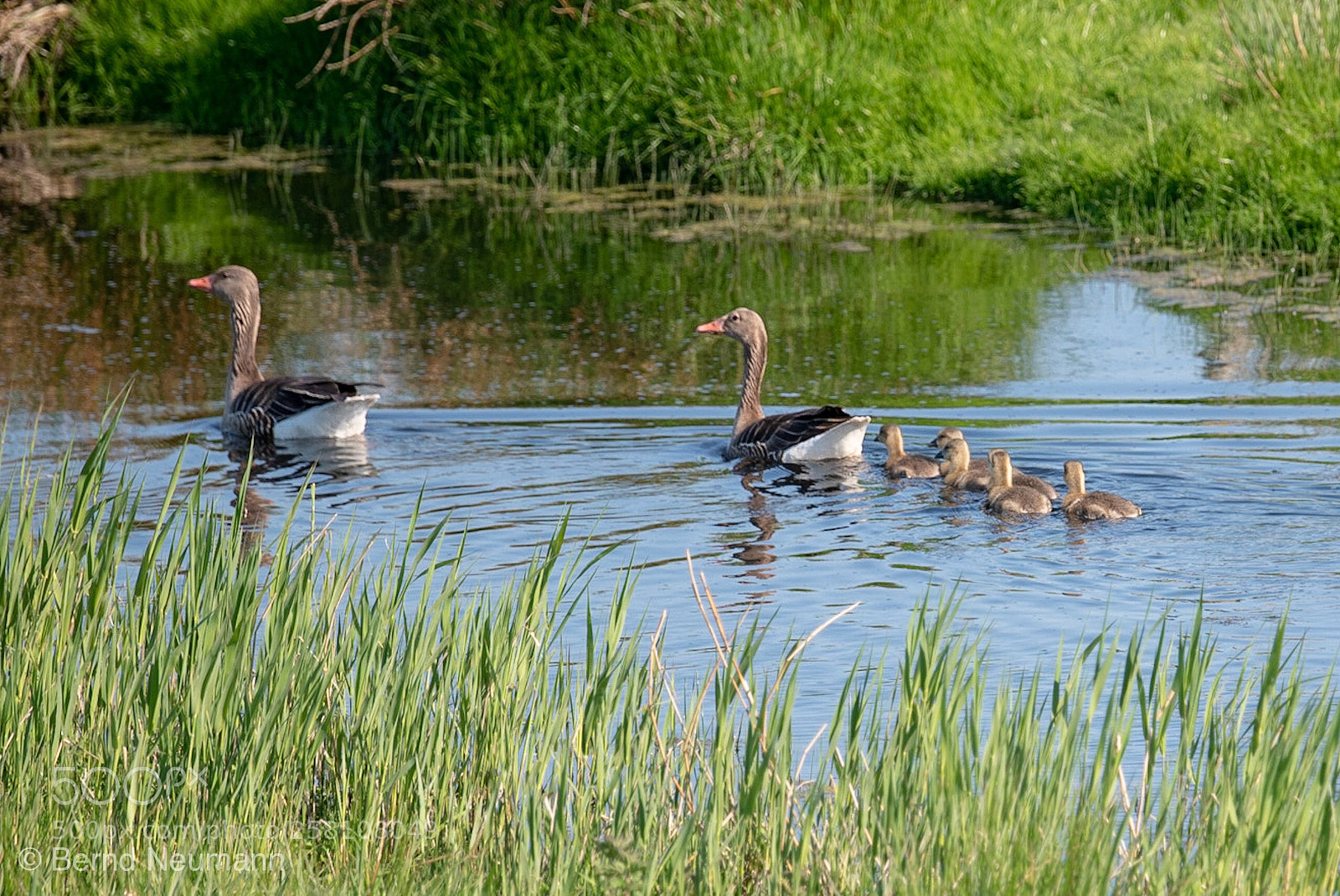 Nikon D750 sample photo. Family photography