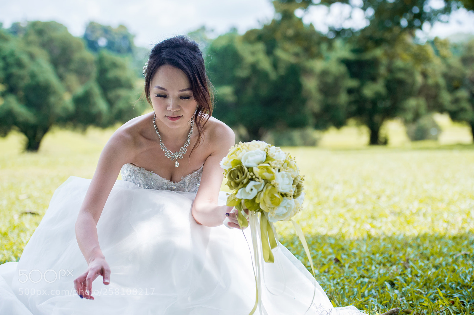 Nikon D4S sample photo. 20160131-_dsc6193-2.jpg photography