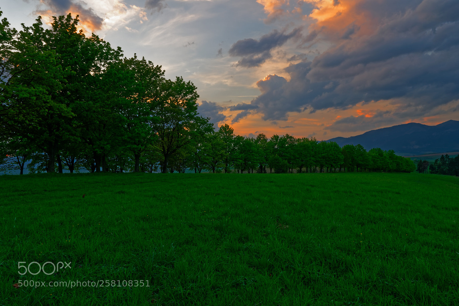 Nikon D3300 sample photo. View of sunset. photography