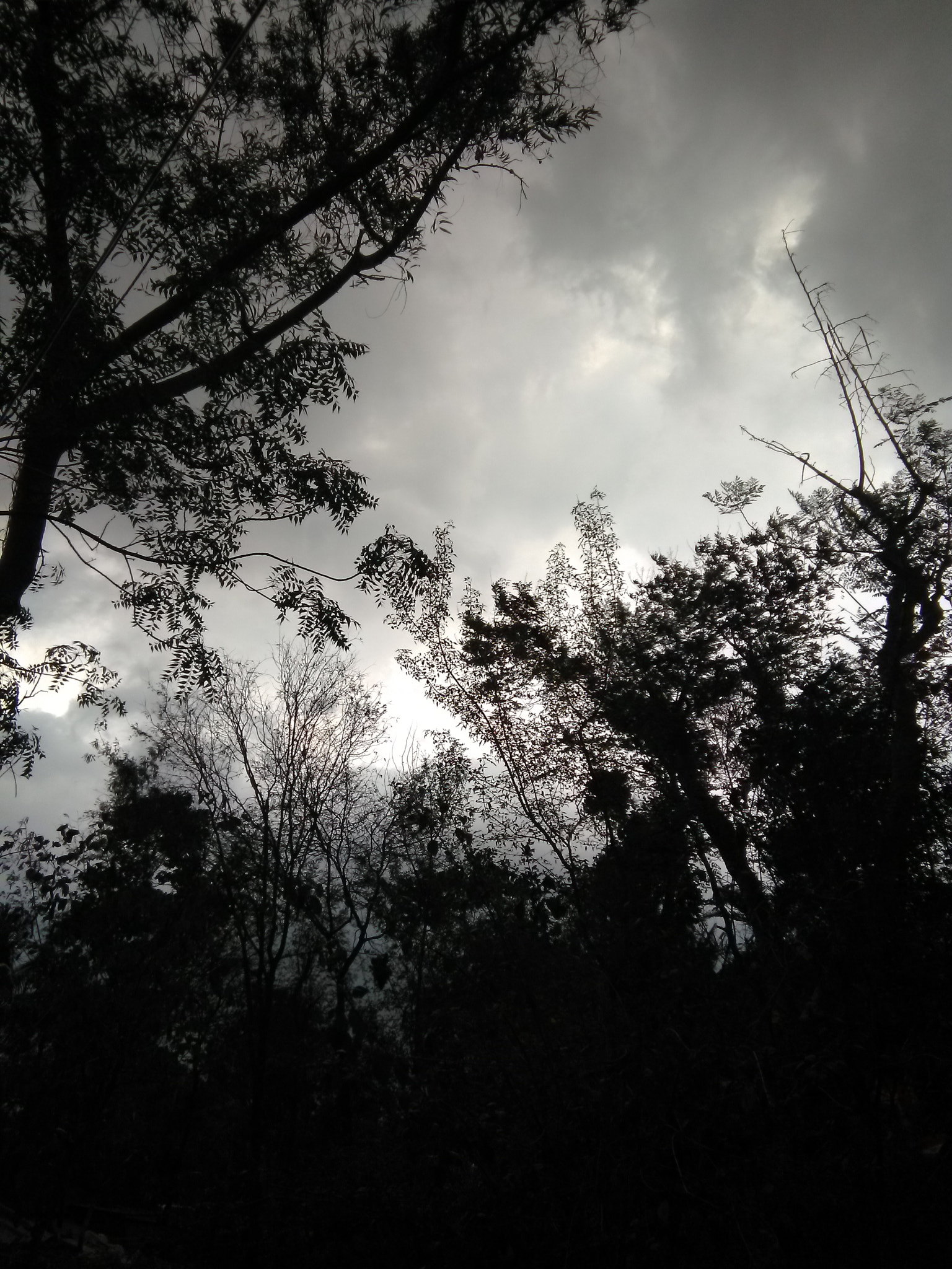 HMD Global Nokia 2 sample photo