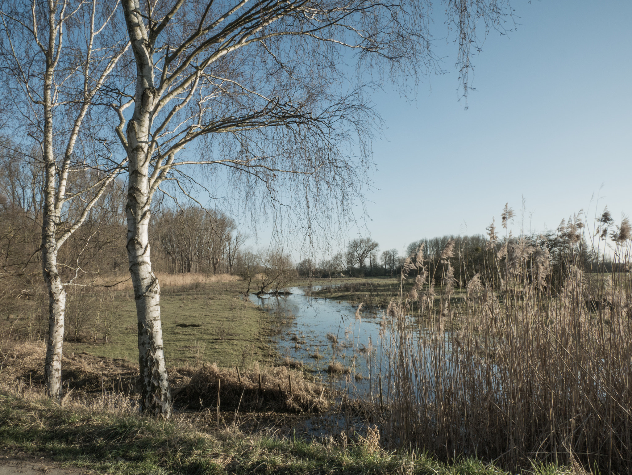 Panasonic DMC-G81 sample photo. Hessisch ried photography