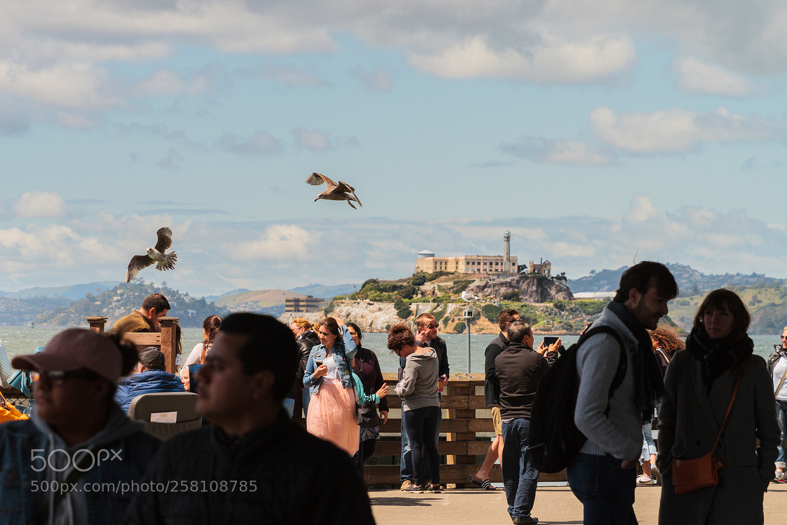 Canon EOS 7D sample photo. Fisherman's wharf photography