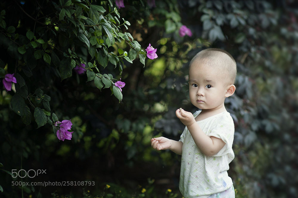 Nikon D300 sample photo. Unhappy photography