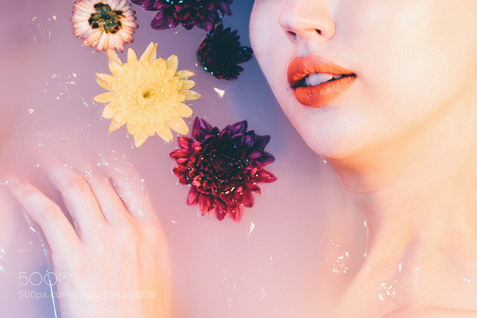 Nikon D750 sample photo. Justyna photography