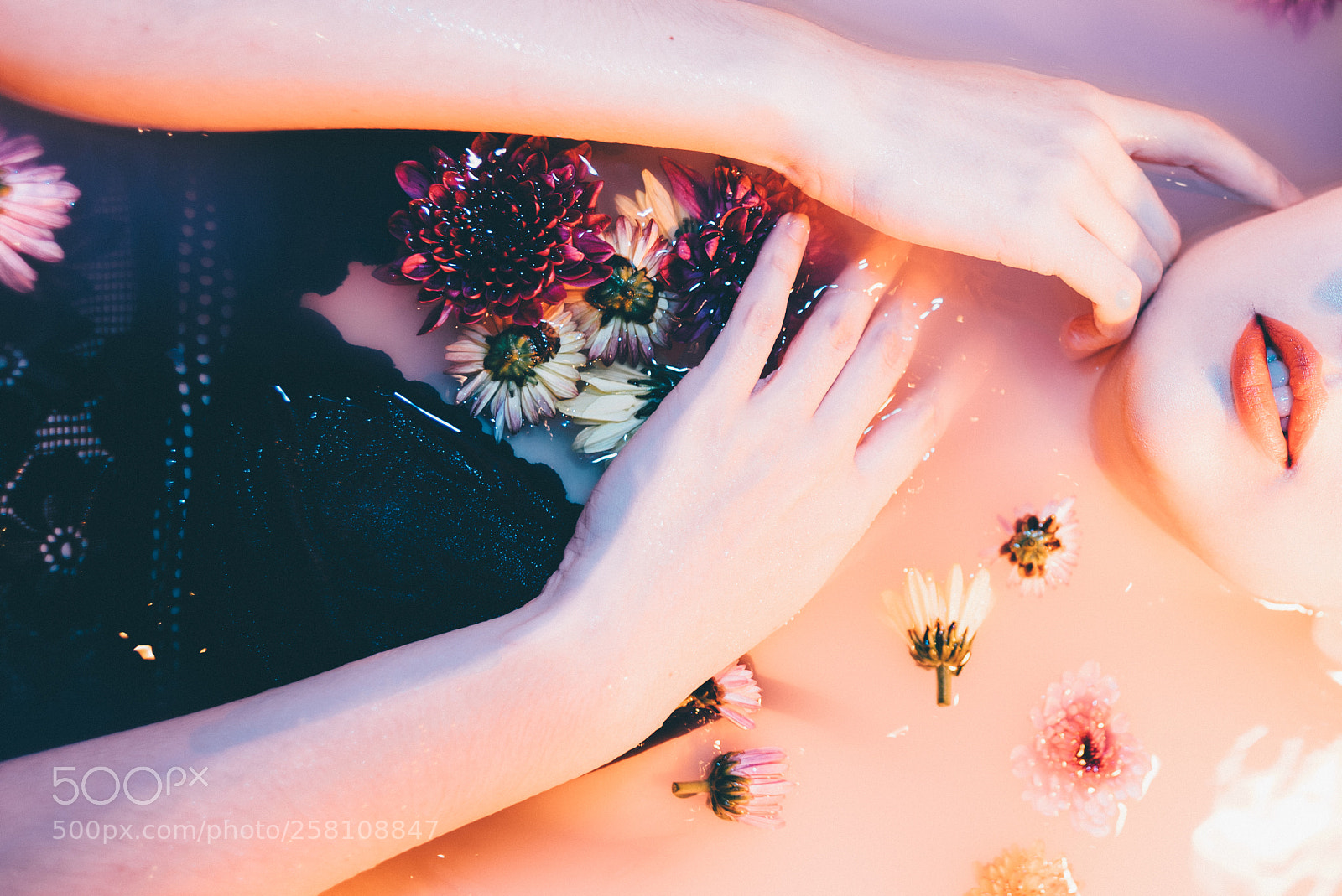 Nikon D750 sample photo. Justyna photography