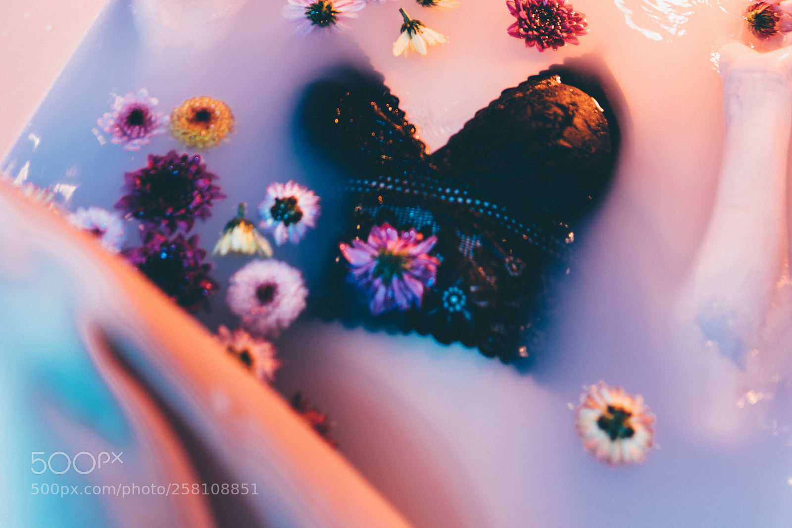 Nikon D750 sample photo. Justyna photography