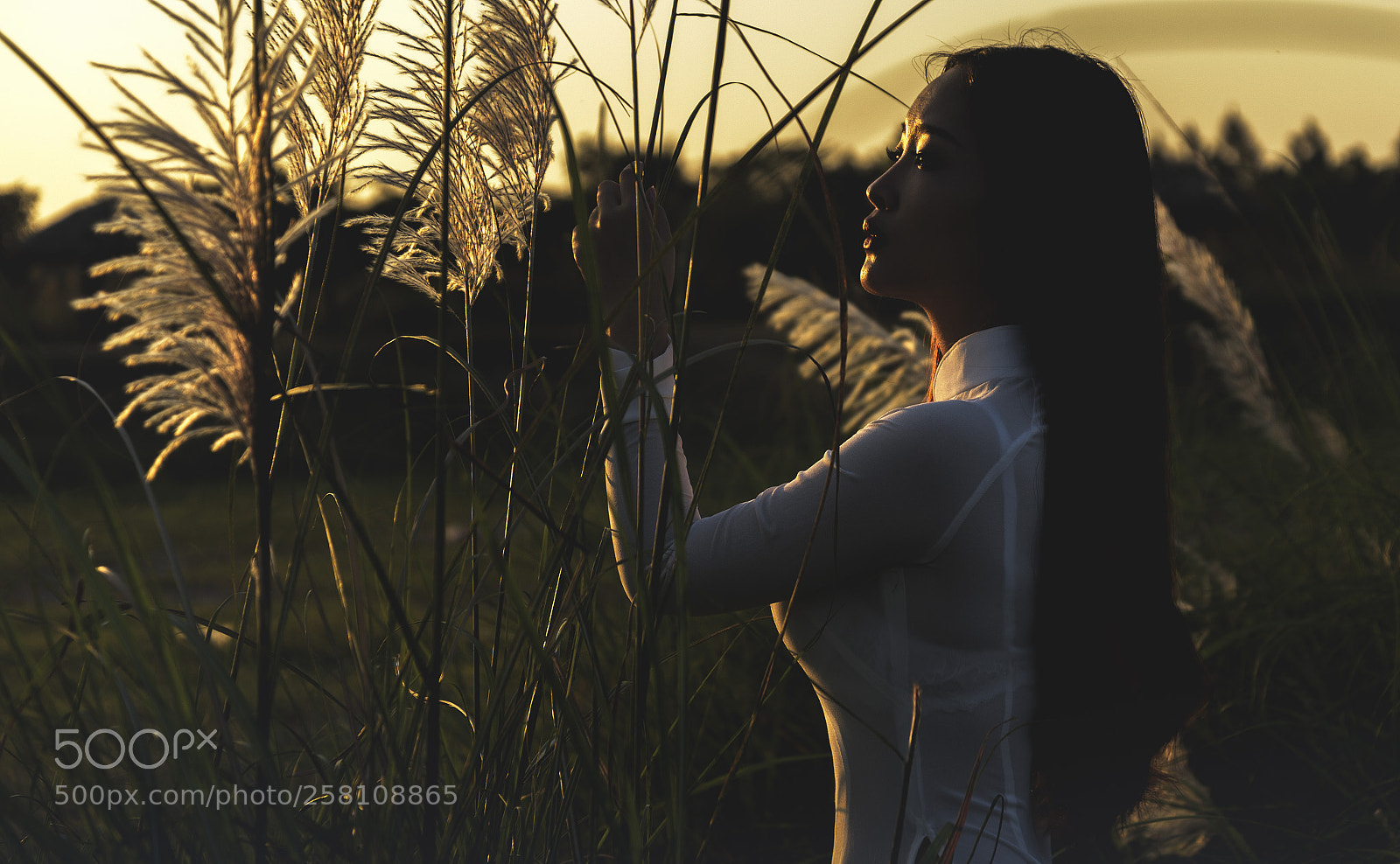 Nikon D750 sample photo. C g i v photography