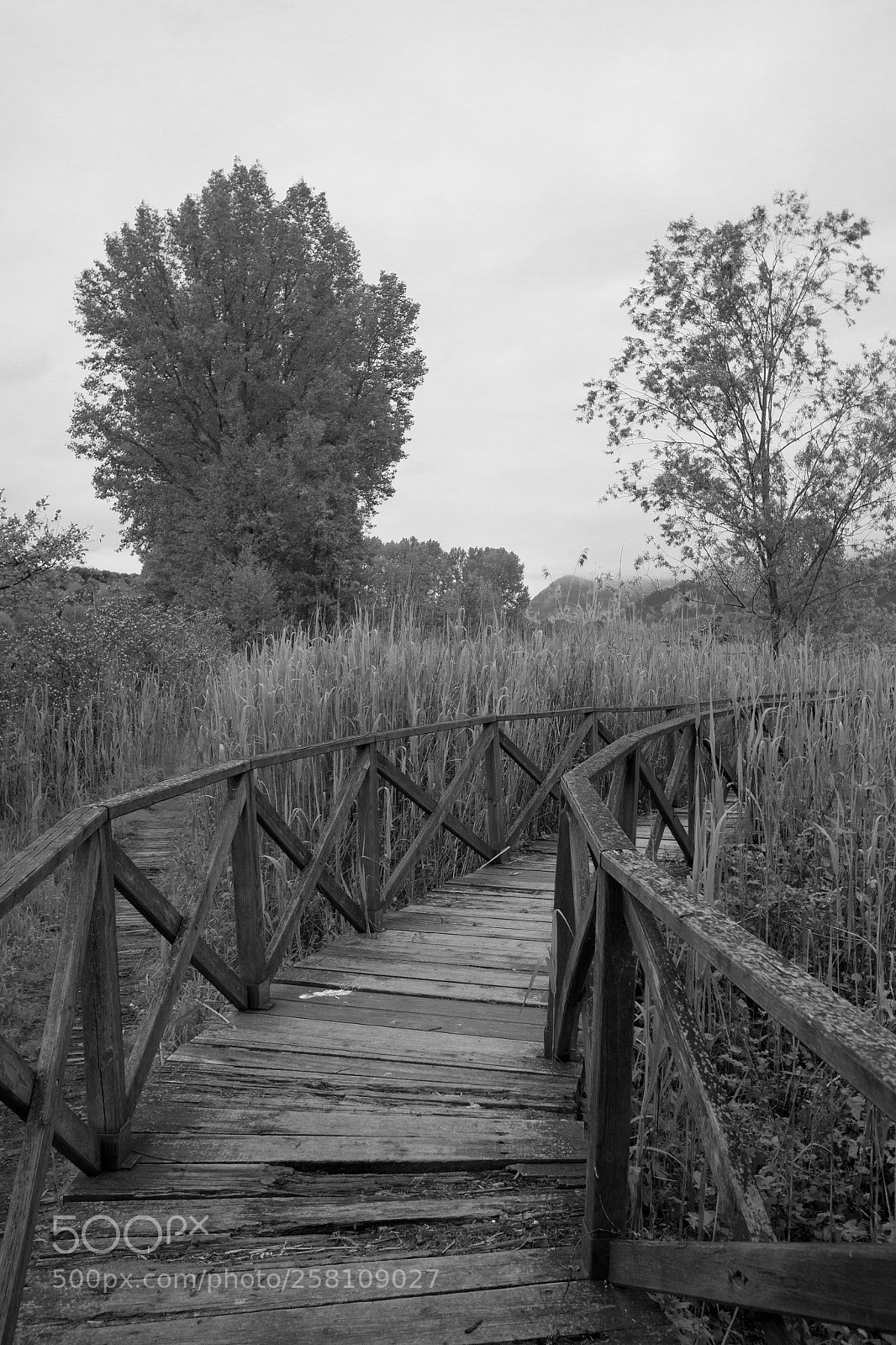 Canon EOS 7D sample photo. Ti stà guardando photography