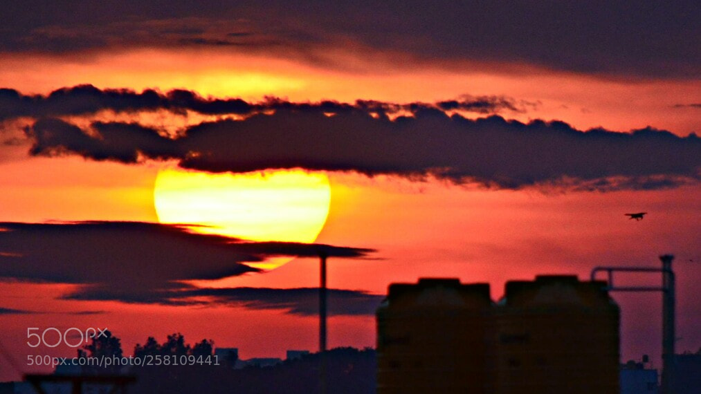 Nikon D5100 sample photo. Untitled photography