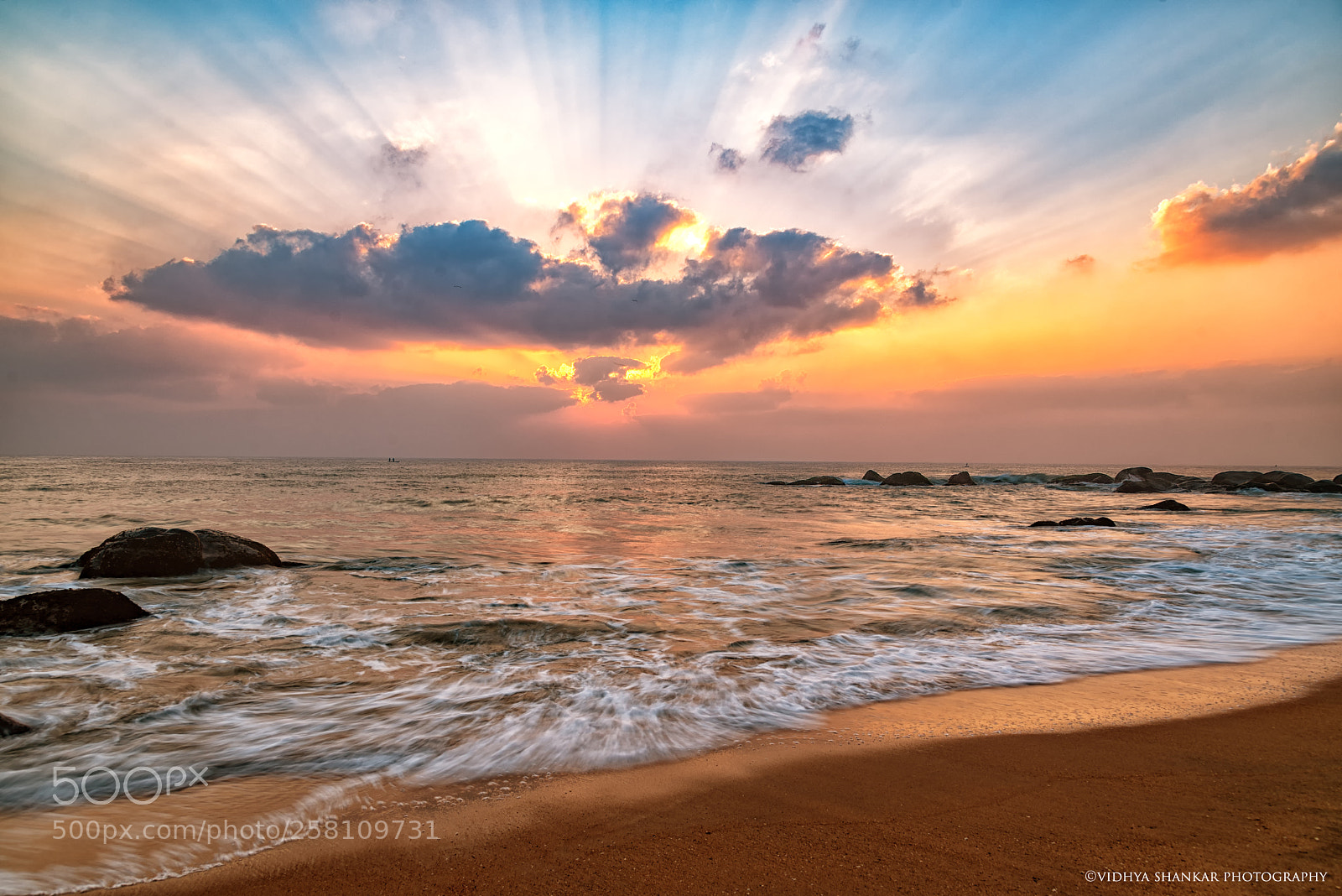 Nikon D750 sample photo. Morning burst photography
