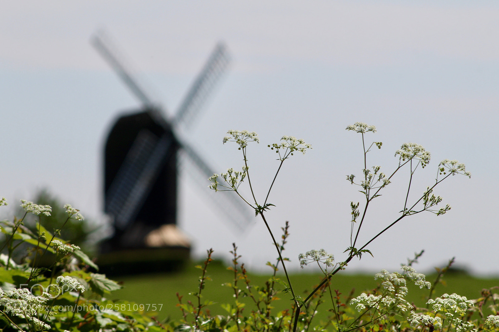 Canon EOS 1300D (EOS Rebel T6 / EOS Kiss X80) sample photo. Rolvenden mill photography