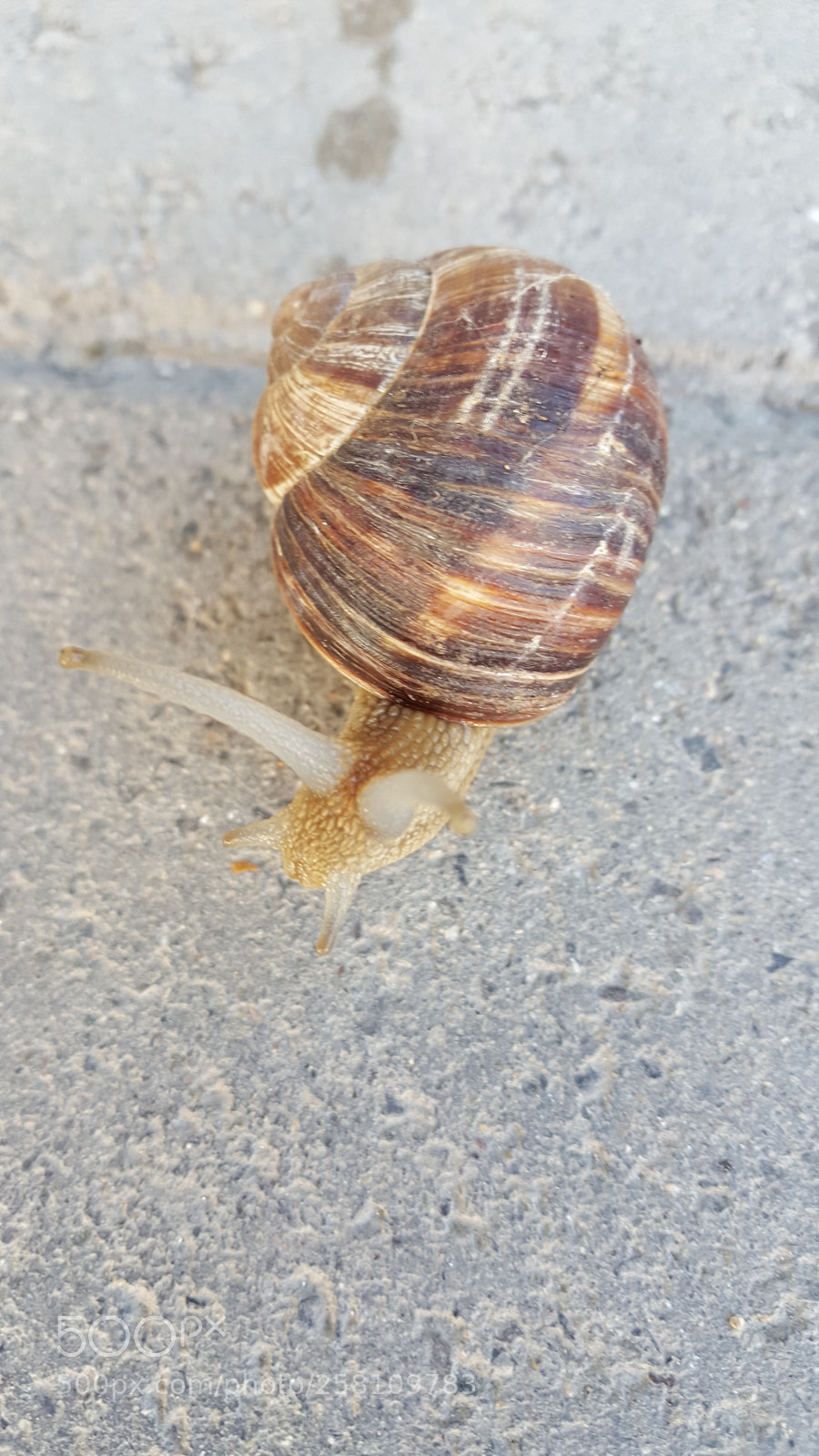 Samsung Galaxy Note5 sample photo. Untitled photography