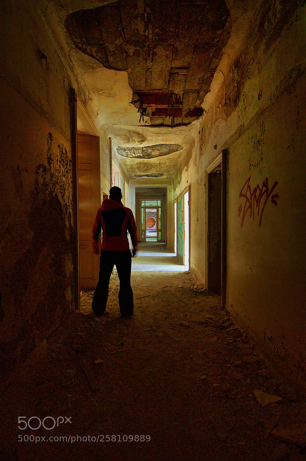 Nikon D90 sample photo. At the sanitarium... photography