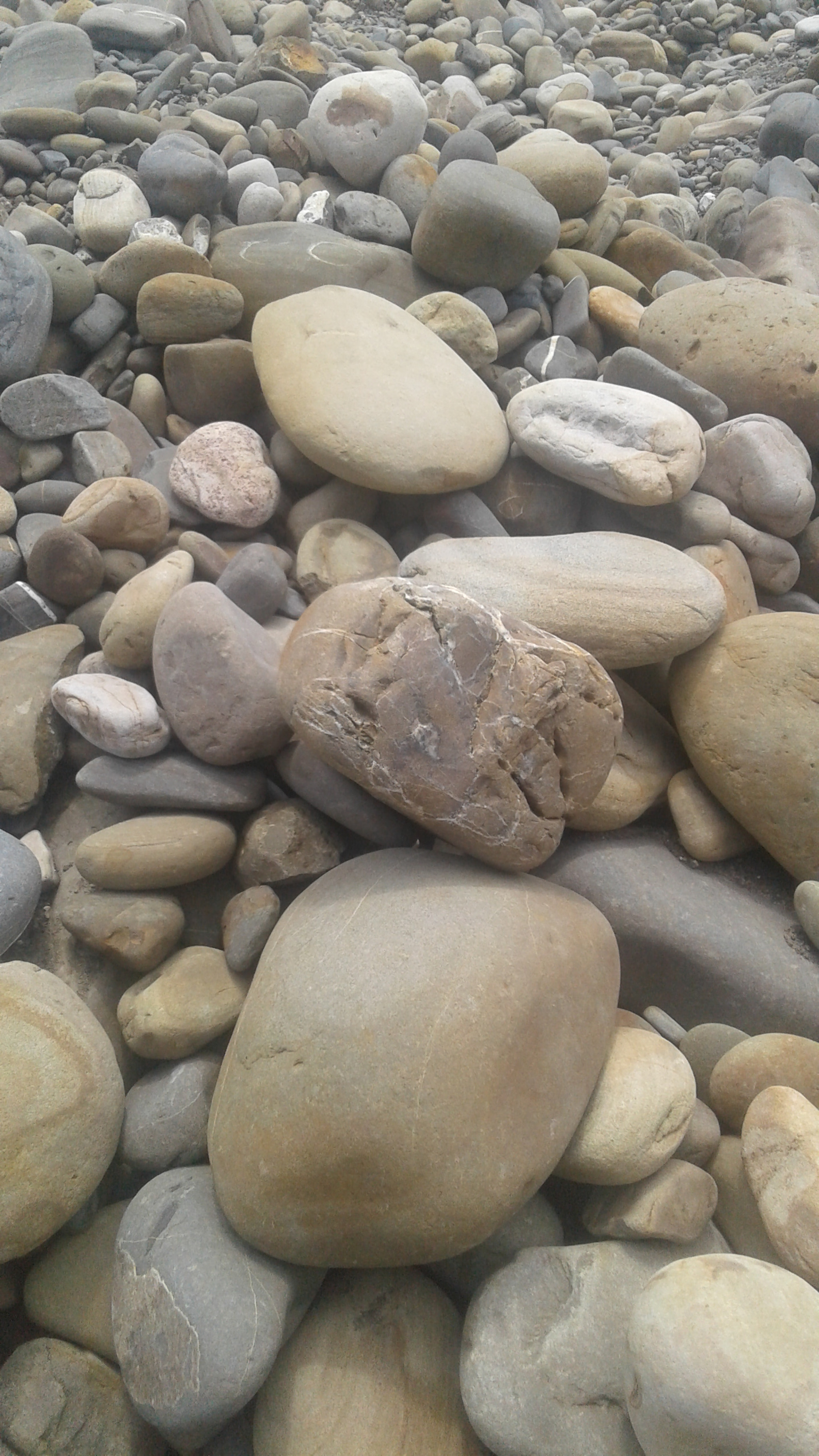 Samsung Galaxy J2 sample photo. 1526447364714659845928.jpg photography