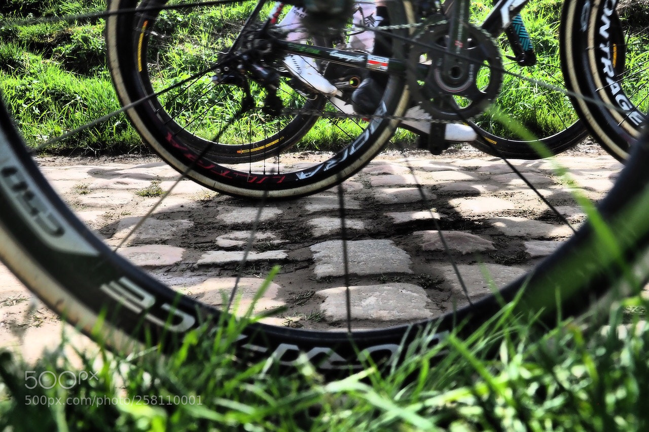 Olympus OM-D E-M1 Mark II sample photo. Paris roubaix 2018 photography