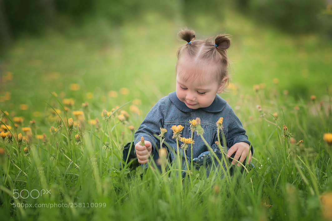 Nikon D700 sample photo. Girl photography