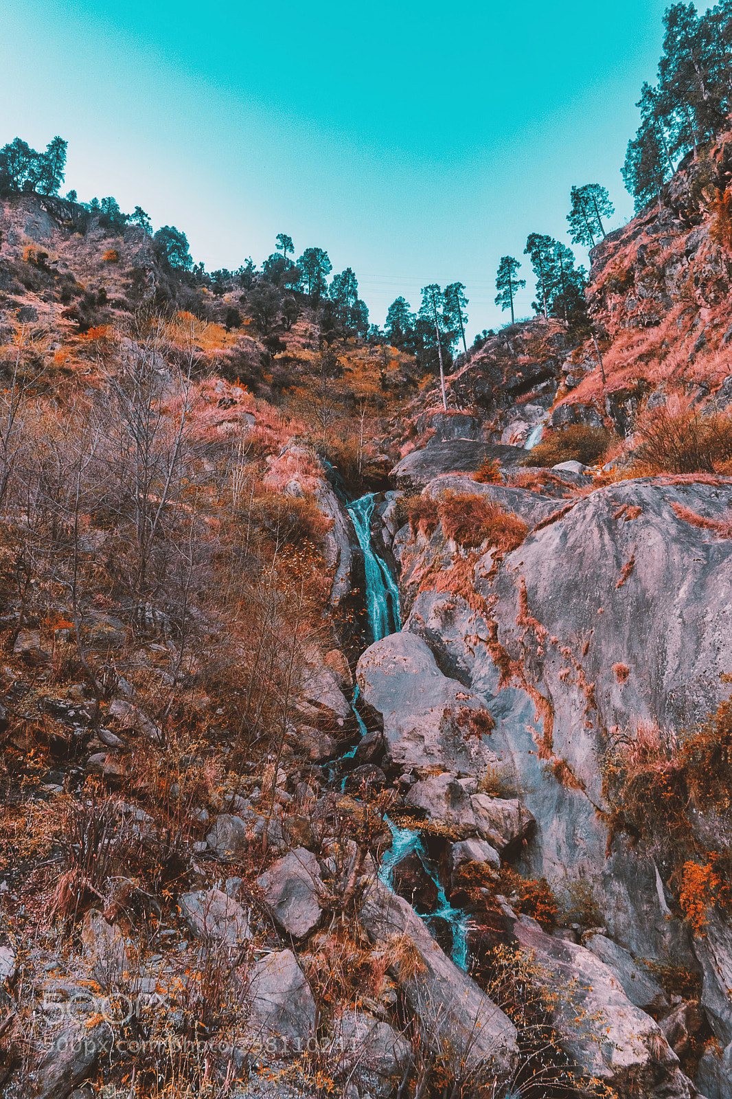 Nikon D5300 sample photo. In the lap of photography