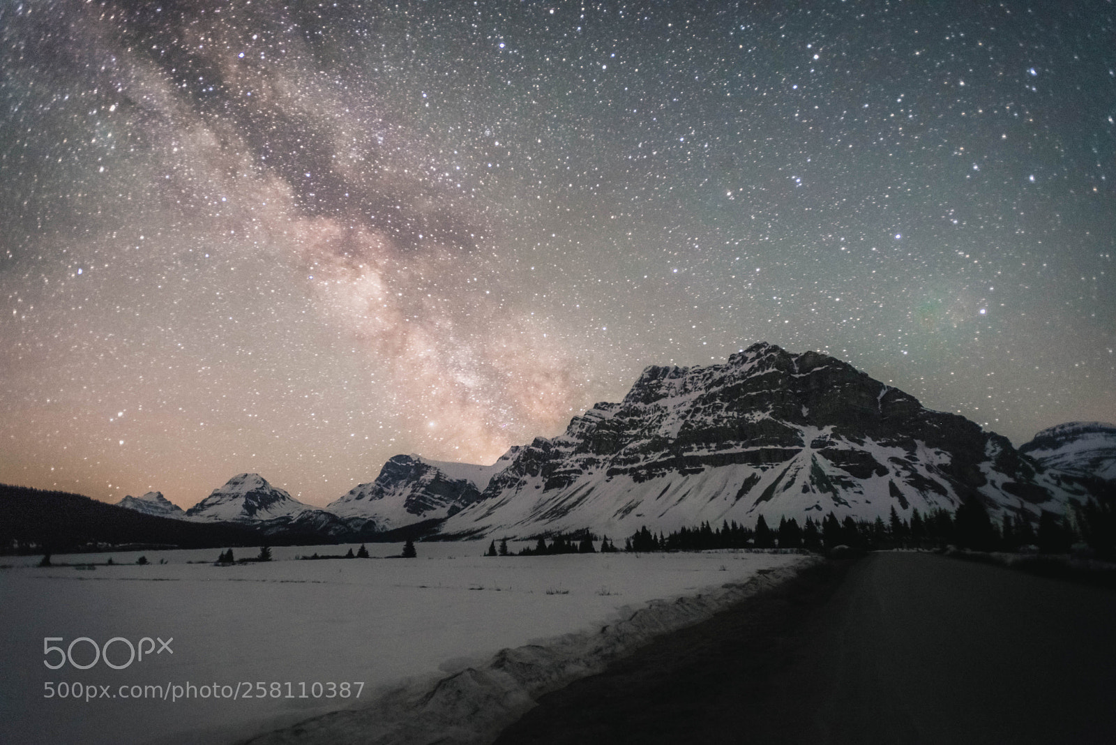 Nikon D610 sample photo. Milky way over bow photography