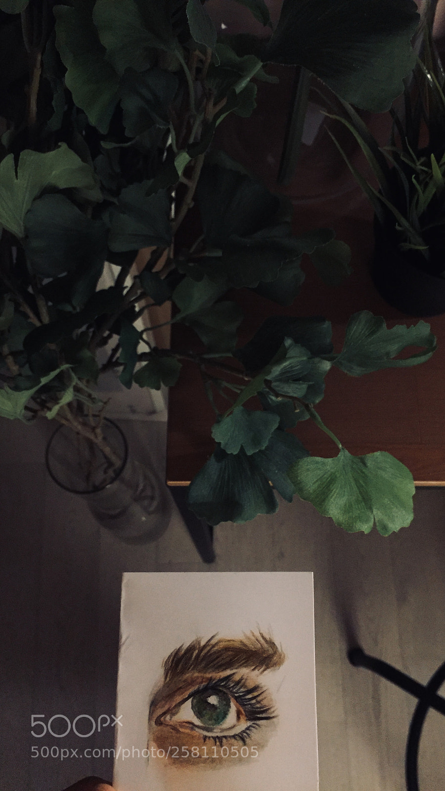 Apple iPhone 6 sample photo. Untitled photography