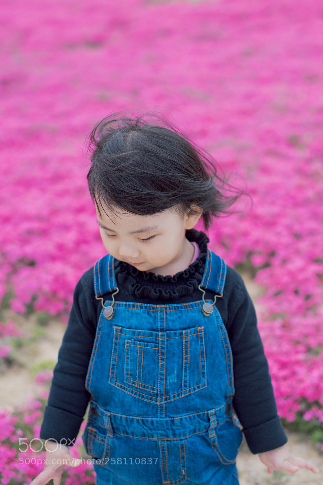Nikon D810 sample photo. Untitled photography