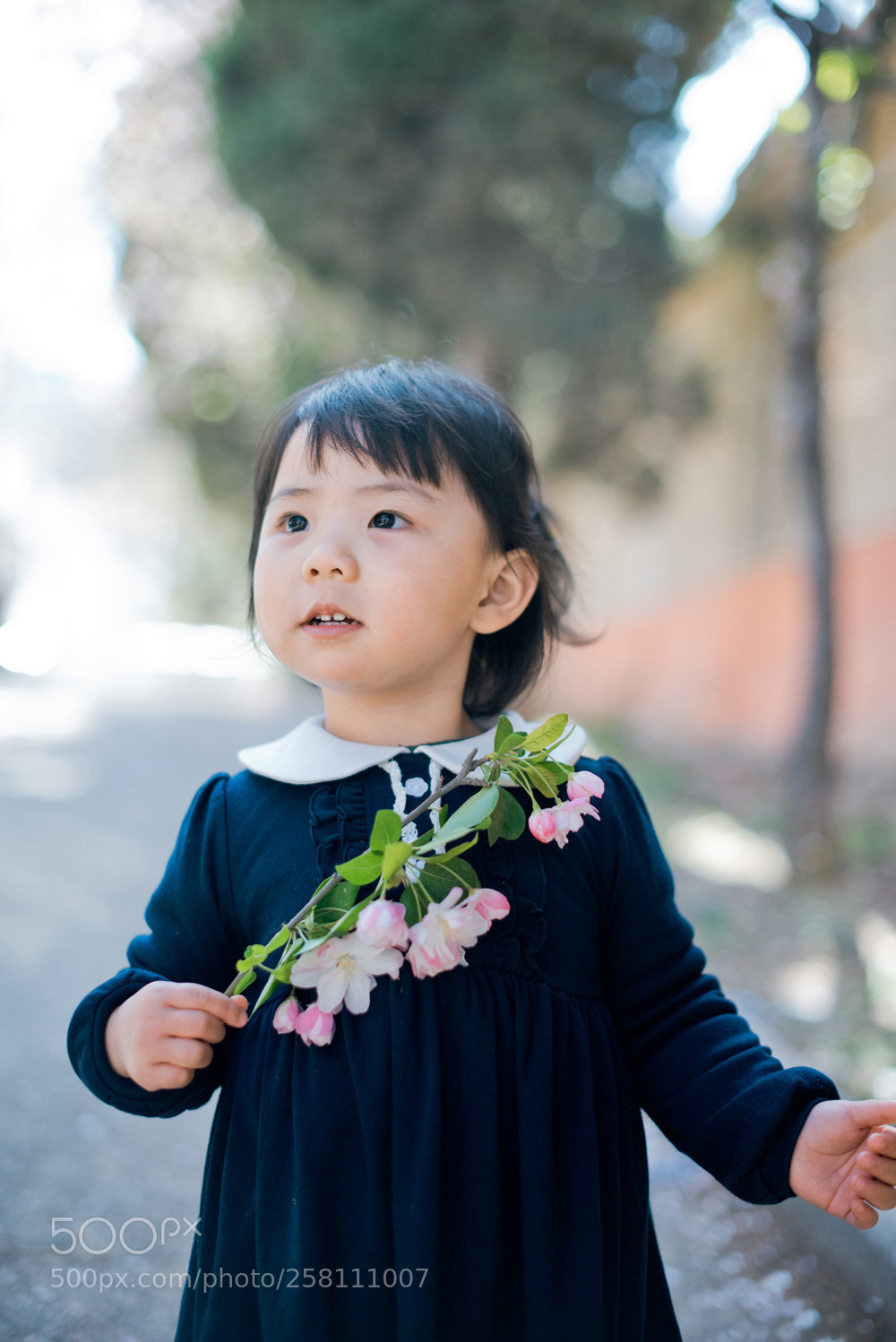 Nikon D810 sample photo. Untitled photography
