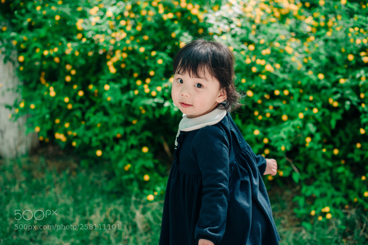 Nikon D810 sample photo. Untitled photography