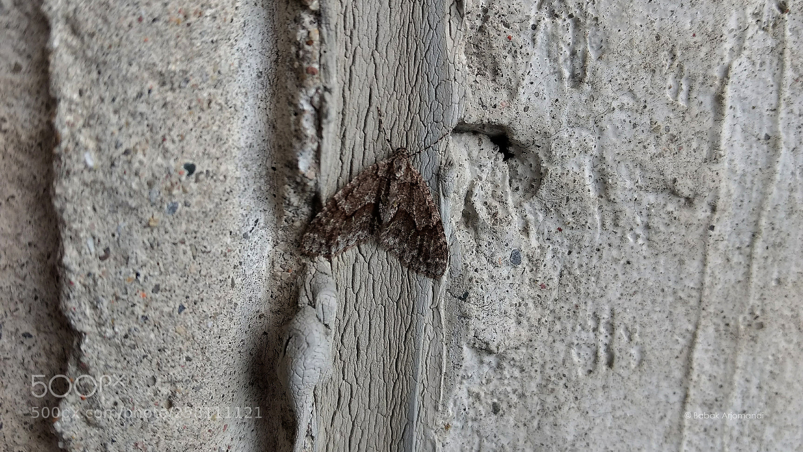 Motorola Moto G (4) sample photo. Camoflash photography