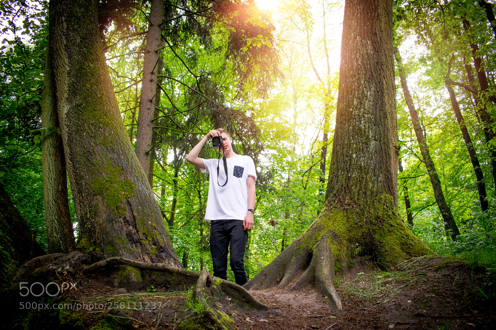 Nikon D3300 sample photo. Forest shot photography