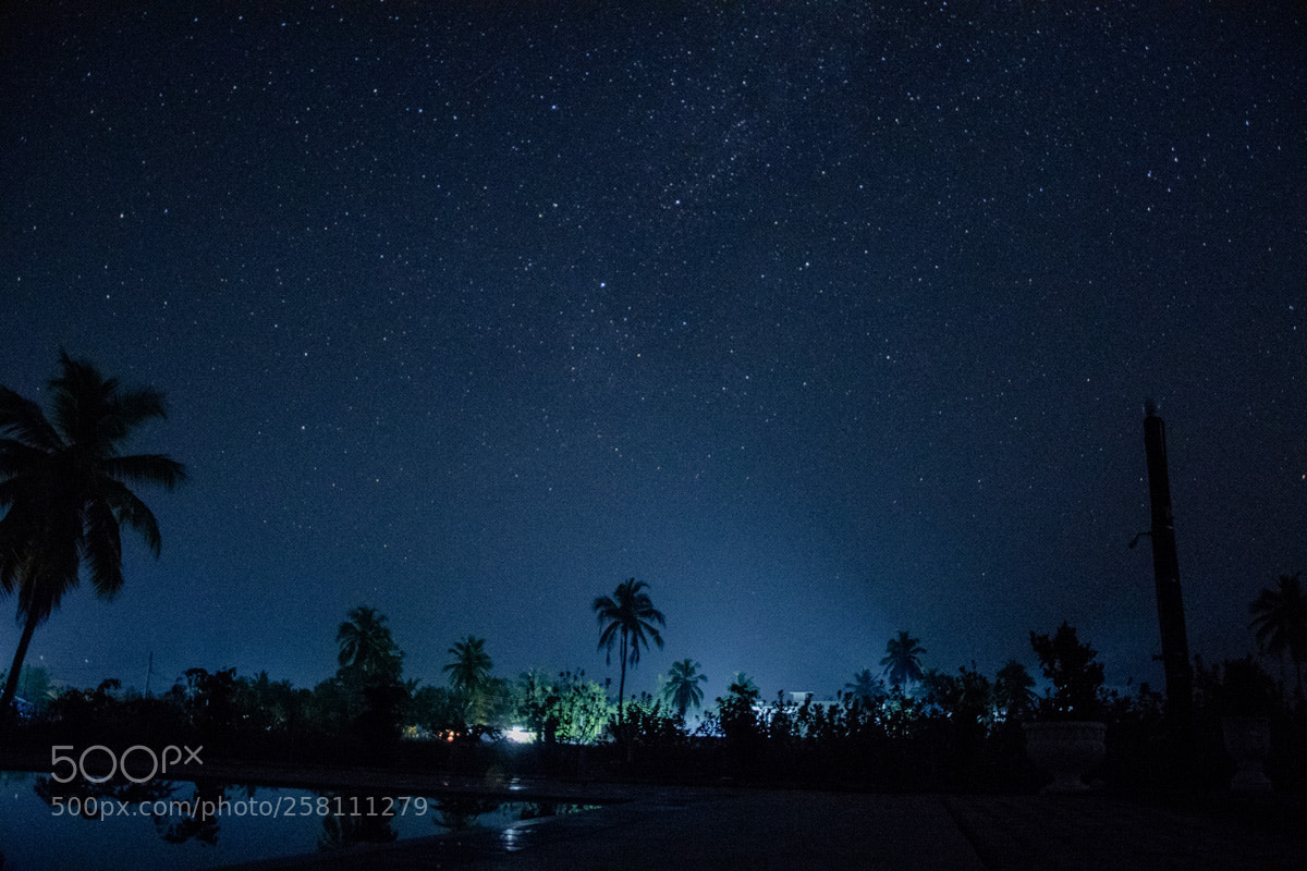 Nikon D810 sample photo. Untitled photography