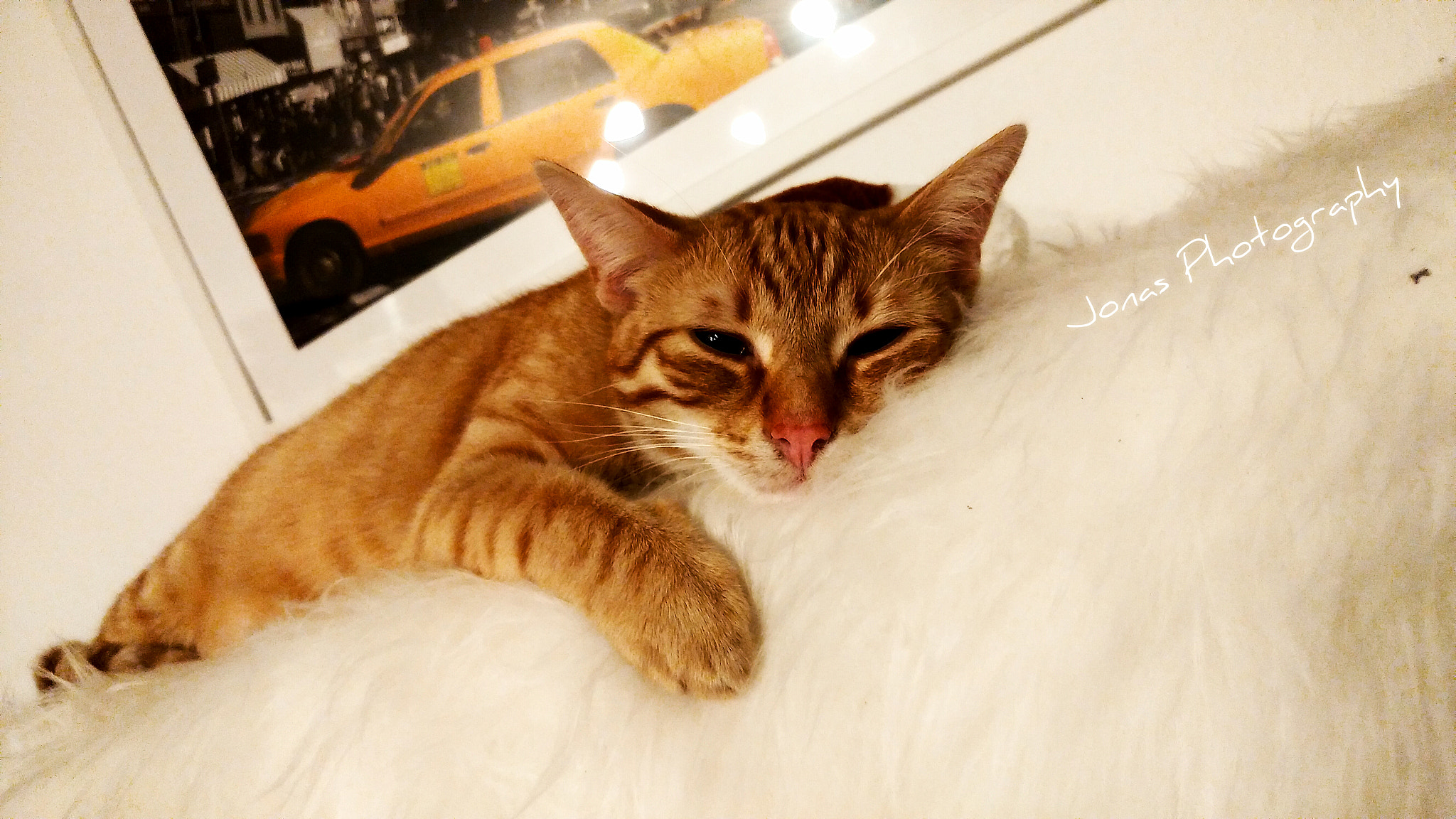 LG G5 SE sample photo. Der gestiefelte kater photography