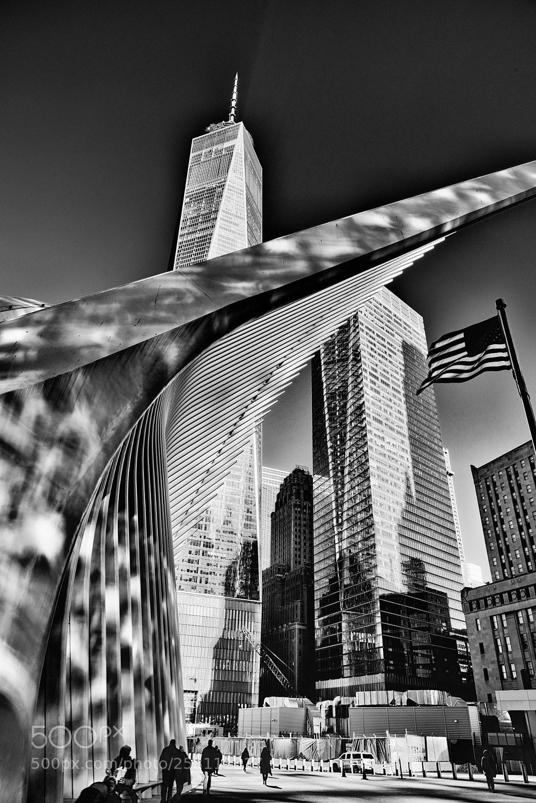 Nikon D810 sample photo. The oculus photography