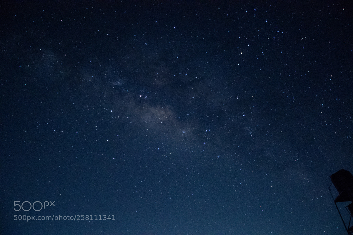 Nikon D810 sample photo. Untitled photography