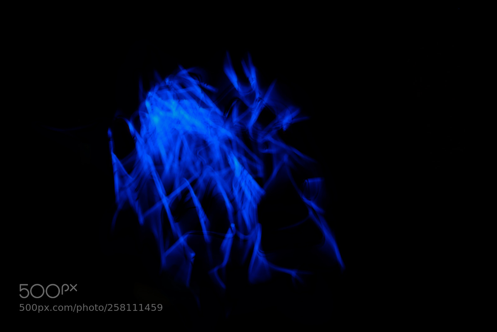 Canon EOS 80D sample photo. Untitled (blue) photography