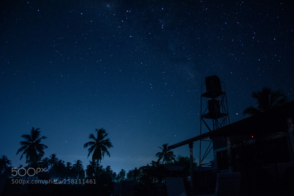 Nikon D810 sample photo. Untitled photography