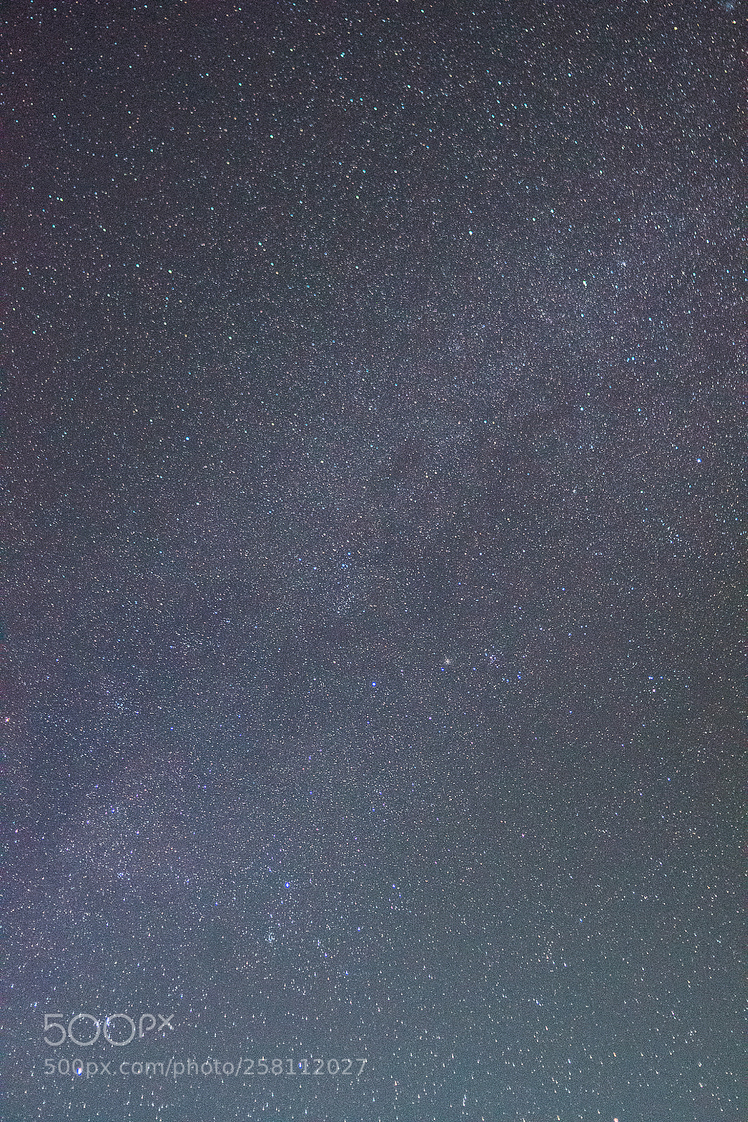 Nikon D5500 sample photo. Cosmos photography