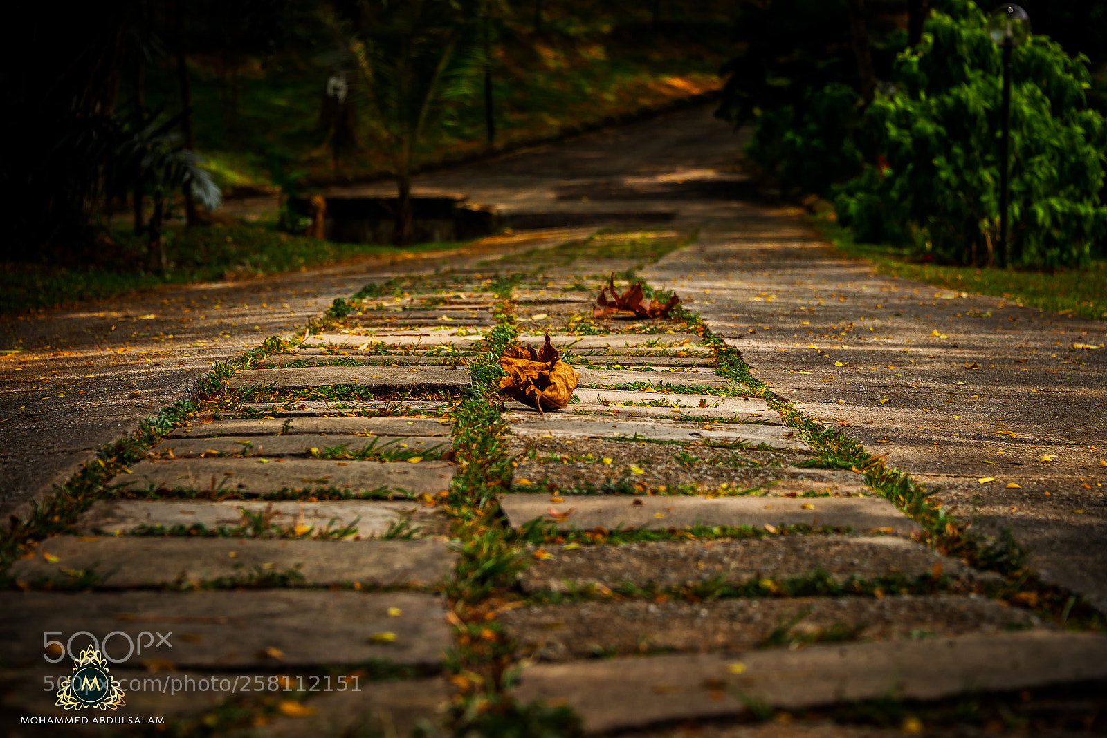 Nikon D610 sample photo. Gangway photography