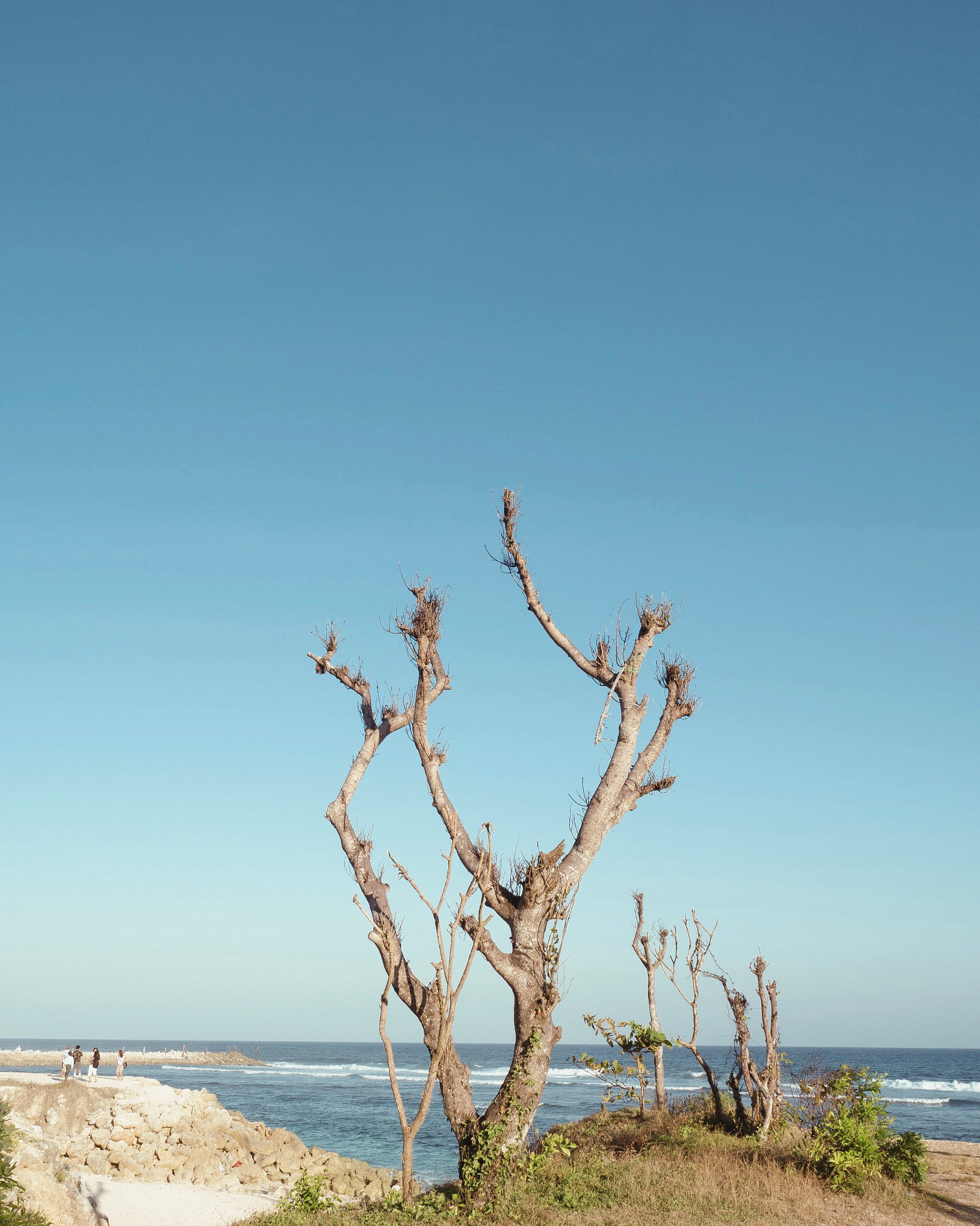 Panasonic Lumix DMC-G85 (Lumix DMC-G80) sample photo. Nusa dua beach photography