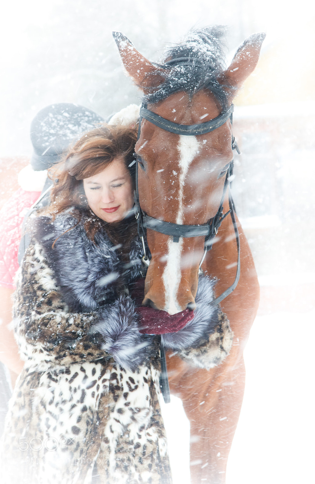 Canon EOS 550D (EOS Rebel T2i / EOS Kiss X4) sample photo. Snowstorm photography
