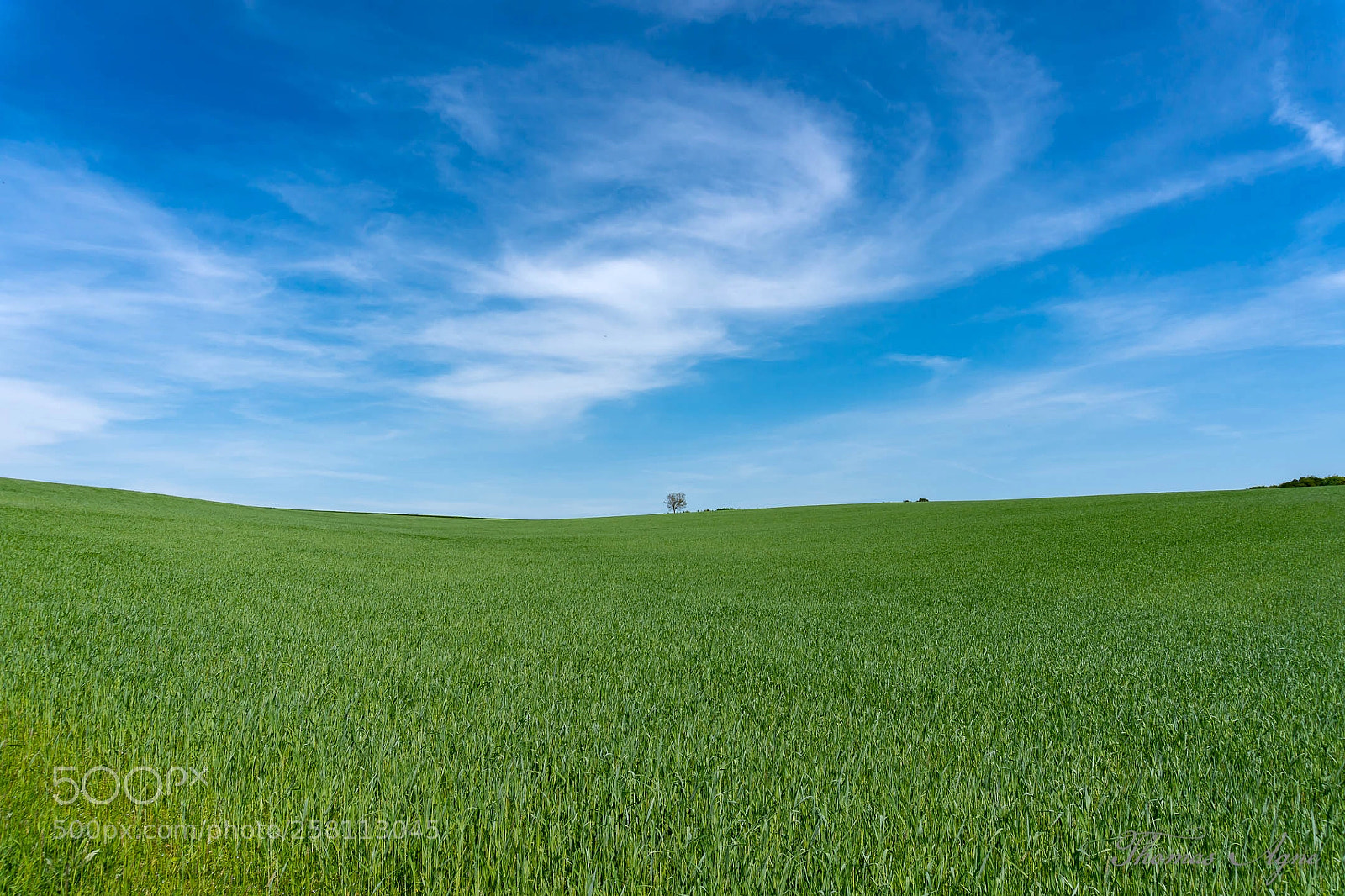 Sony a6300 sample photo. Fields in spring time photography