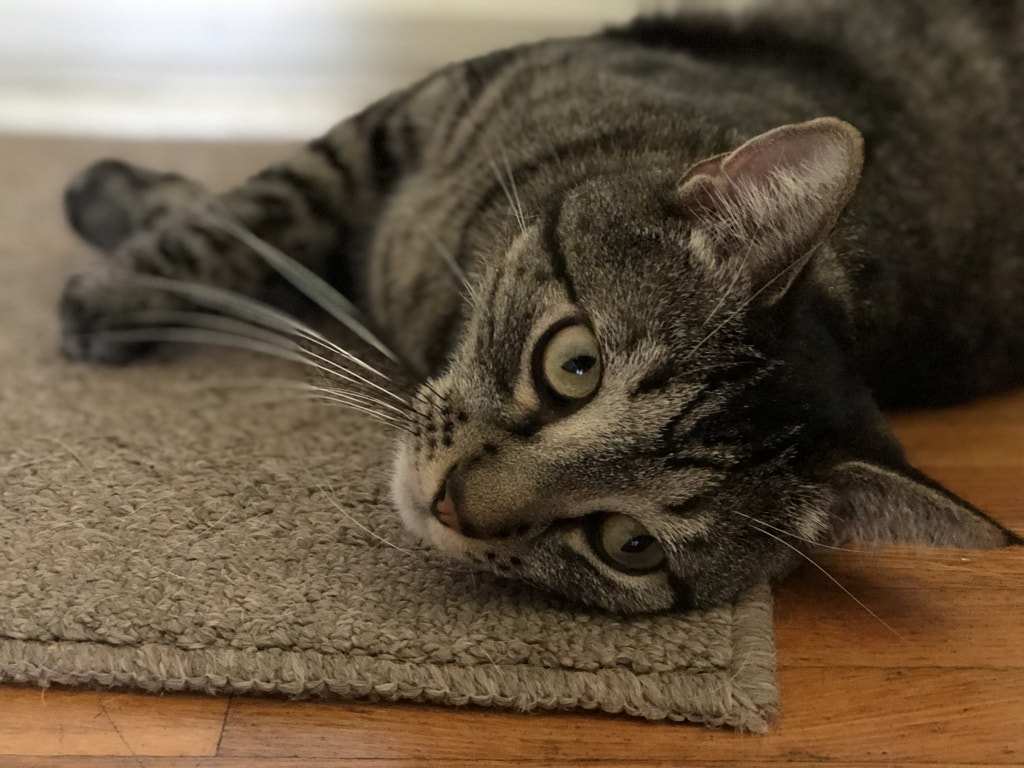 Untitled by Jacqueline and Kevin Reape on 500px.com