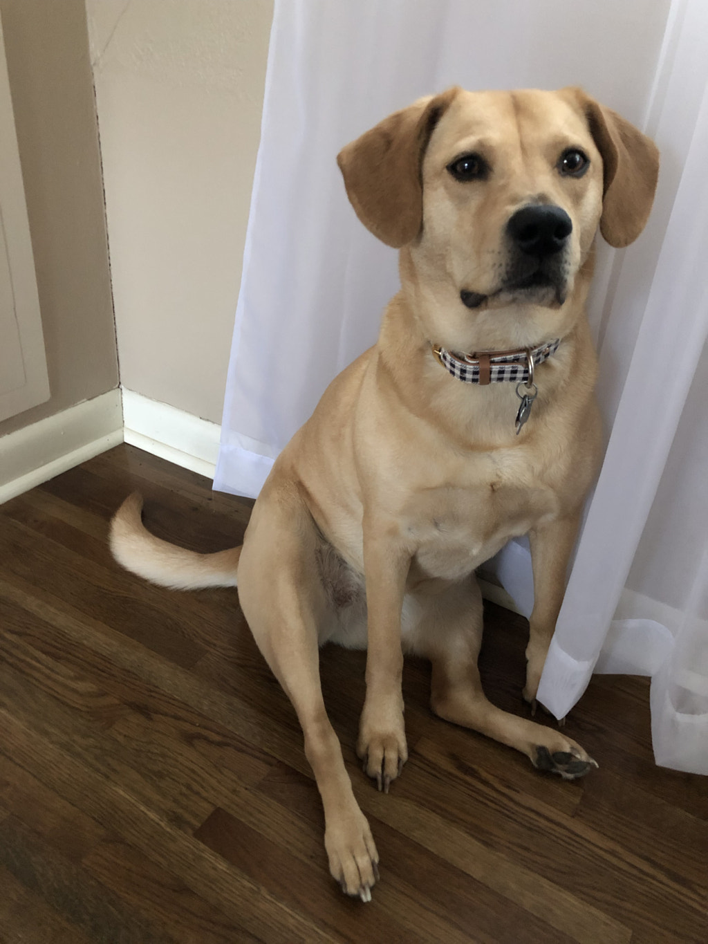 Untitled by Jacqueline and Kevin Reape on 500px.com