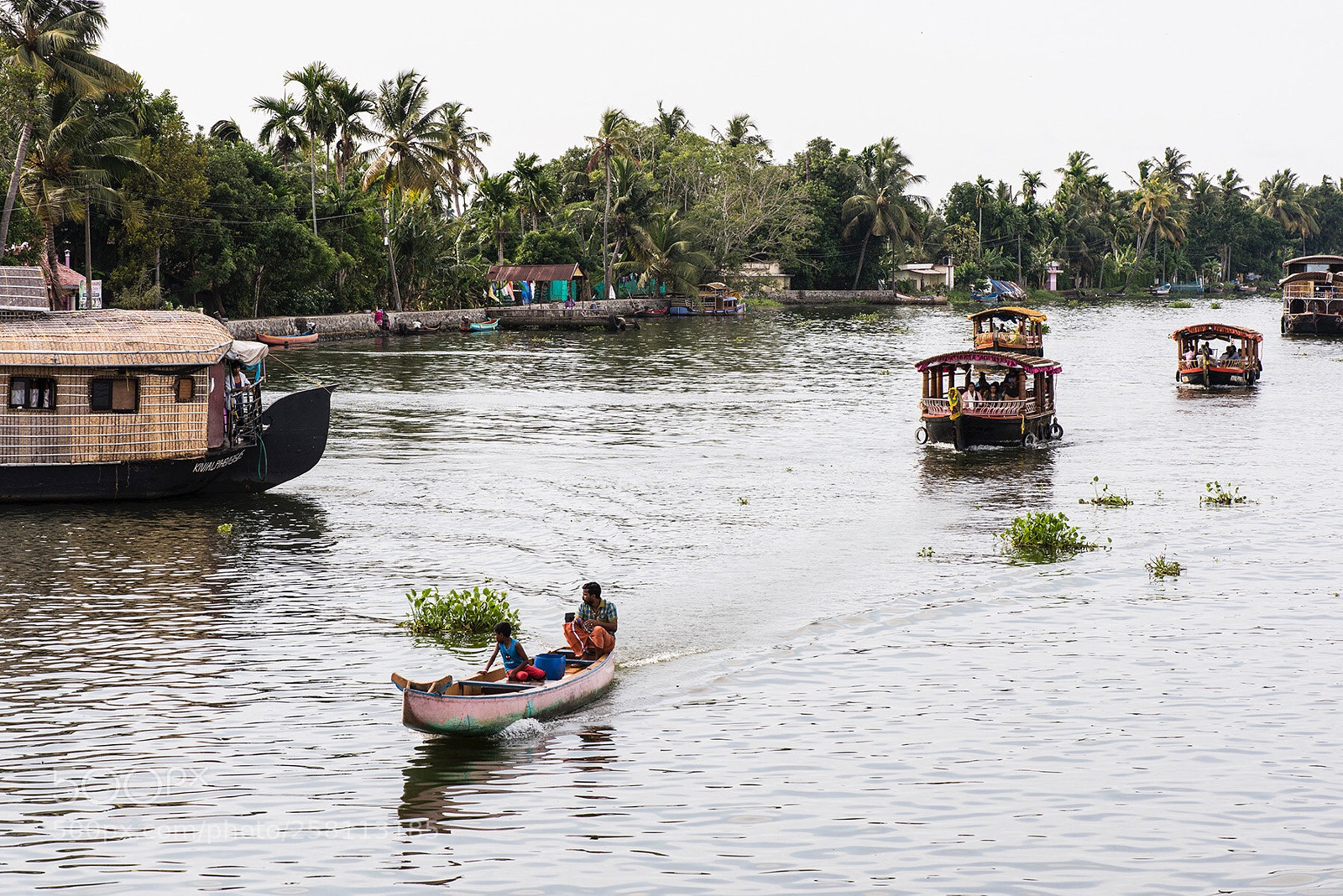 Nikon D810 sample photo. A trip to india. photography
